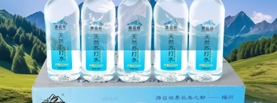 沁蓝峰天然苏打水清纯自然，把健康带回家