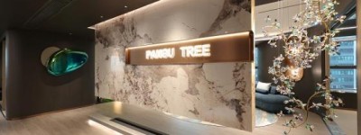 十年深耕心育赛道 乘势国家战略新机遇——盘古树教育（广东广播电视台家庭教育基地）助力心理健康经济高质量发展