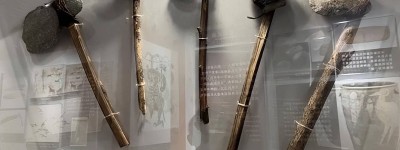 距今93万年前，全球仅剩1200人，当时究竟发生了什么？