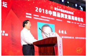 中国最大跨境电商团队亮相2018品牌高峰论坛