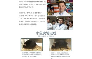 带您了解新加坡 DKMILVS NMN不为人知的秘密，DKMI