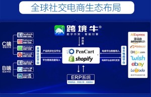 跨境牛Facebook群控软件如何快速进行数据引流