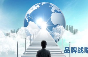 迪蒙网贷系统：品牌营销成为P2P致胜法宝