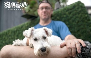 区块链+宠物，重塑安全健康的宠物行业环境