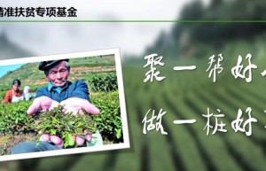 黔中生态茶交易中心突破传统，应价零批开展经济发展新模式