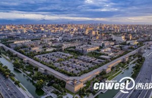从首办到再办：世界互联网大会数字丝路发展论坛与陕西的“双向奔赴”