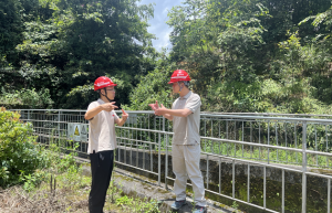 新景公司发电量超额完成，绿色转型步伐加快