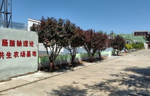 在希望的田野上：一位父亲与他的“不收费承诺”