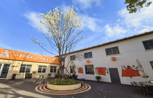 解锁工业游新姿势｜思乐得白玉兰盛放，春日打卡正当时