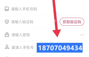 闪电宝plus邀请人手机号怎么填？（已回答）