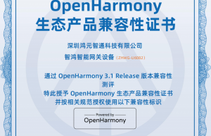 鸿元智通唐永伟：立足现在、着眼未来，智鸿系列鸿蒙网关产品助力行业互联网无缝向鸿蒙迁移！