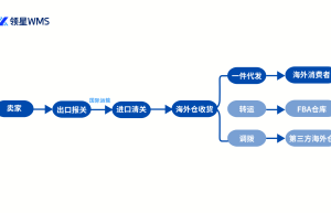 海外仓系统怎么选？通过一件代发了解领星海外仓系统
