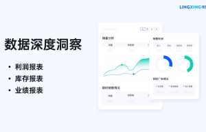 2025年TikTok管理系统推荐 ：领星ERP如何助力商家驾驭全球爆单机遇？