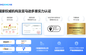 TikTok卖家为什么要用ERP？TikTok管理系统有什么用？怎么选？