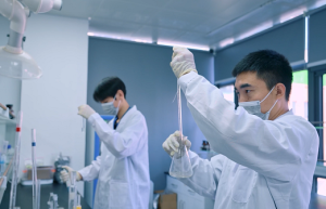 权威第三方检测机构|中析研究所：CMA/CNAS资质、实验室体系、检测服务与报告用途全解析