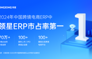 跨境大件品类突围利器：领星ERP如何破解物流与成本难题？