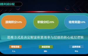源商购web3.0电商