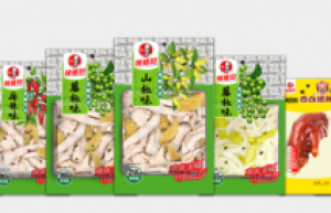 渠道建设积极发力，辣媳妇销售矩阵正持续优化