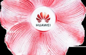 CCN中商荣获华为云“年度生态合作共赢奖”。