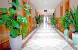 探访广州白云区老年医学科病房：当术后康复遇上长期养老，如何做到两者兼得？