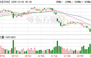 拼多多年度股东大会：Temu 3年走完拼多多国内10年路 两者体量已接近？