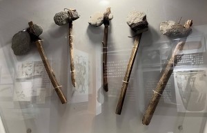 距今93万年前，全球仅剩1200人，当时究竟发生了什么？