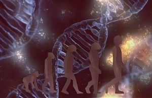 人类还在进化？种种迹象表明，人类的进化从未停止