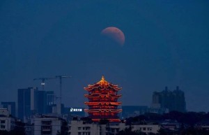 记得抬头！2026年“头号天象”要来了