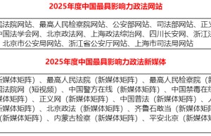 2025年中国优秀“互联网+政法服务”平台综合影响力评估报告