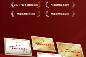 国字号双誉加冕！鹏鸿以生态板为基，多元产品矩阵领跑全国市场