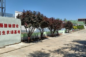 在希望的田野上：一位父亲与他的“不收费承诺”