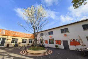 解锁工业游新姿势｜思乐得百年玉兰盛放，春日打卡正当时