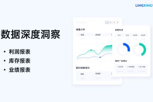 2025年TikTok管理系统推荐 ：领星ERP如何助力商家驾驭全球爆单机遇？