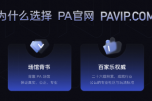 科技企业 PA：以系统化实力推动竞技娱乐新发展