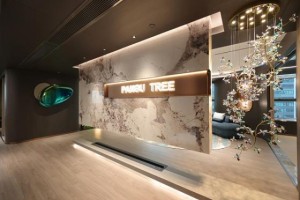 十年深耕心育赛道 乘势国家战略新机遇——盘古树教育（广东广播电视台家庭教育基地）助力心理健康经济高质量发展