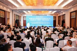 木业盛会荣膺双项大奖！鹏鸿板材蝉联国字号荣誉，引领板材行业破局向上
