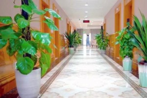 广州白云养老新体验：康复配套完善，偏瘫长者可安心长期安居
