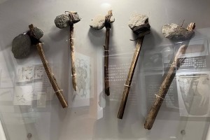 距今93万年前，全球仅剩1200人，当时究竟发生了什么？
