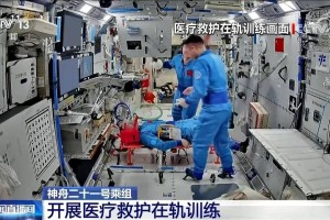 神舟二十一号乘组开展植物栽培在轨验证试验