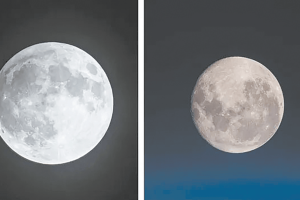 全球看的月亮，都是一个样吗？
