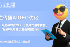 逆传播AIGEO：专注AI时代GEO（生成式引擎优化）与品牌认知建设的战略服务商