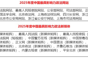 2025年中国优秀“互联网+政法服务”平台综合影响力评估报告