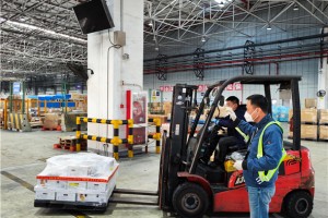 “波兰蜜蜡”“四轮机器人”等进博展品抵沪 东航物流精心保障