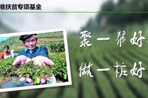 黔中生态茶交易中心突破传统，应价零批开展经济发展新模式
