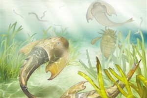 新研究关键环节 “从鱼到人”是历时5亿多年的演化