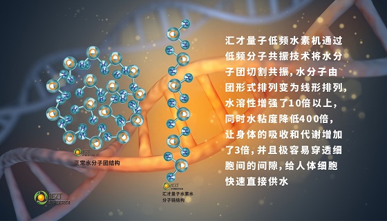 知氢.懂氢.用氢.享健康