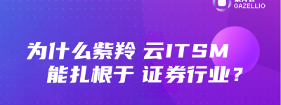 为什么紫羚云ITSM能扎根于证券行业？