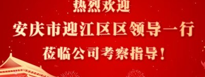 安徽省安庆市迎江区委常委、宣传部长徐佳一行莅临安徽冲鸭科技有限公司考察指导