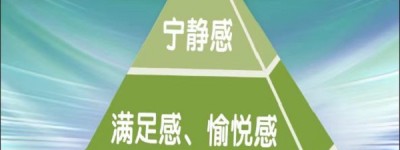 教育部“护心”十条发布，盘古树教育以“双翼”赋能——为孩子的头脑与心灵，同步安装“成长程序”