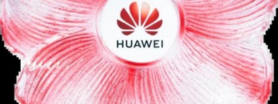 CCN中商荣获华为云“年度生态合作共赢奖”。